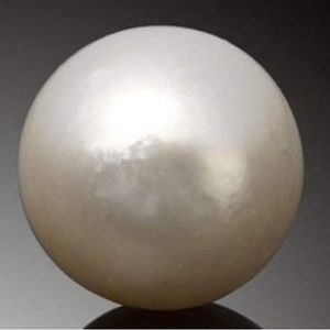 Meet your Posher, NUNS